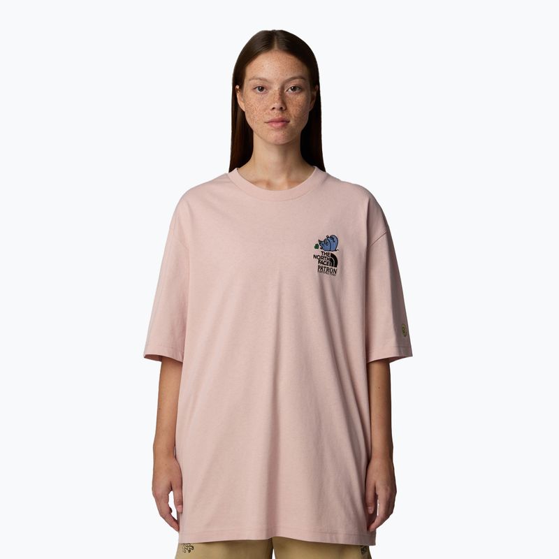 Koszulka The North Face Mountain Cleanup Oversized SS pink moss