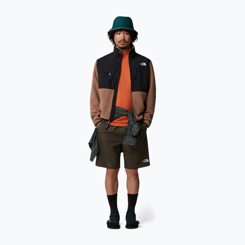 Spodenki męskie The North Face Limestone new taupe green 2