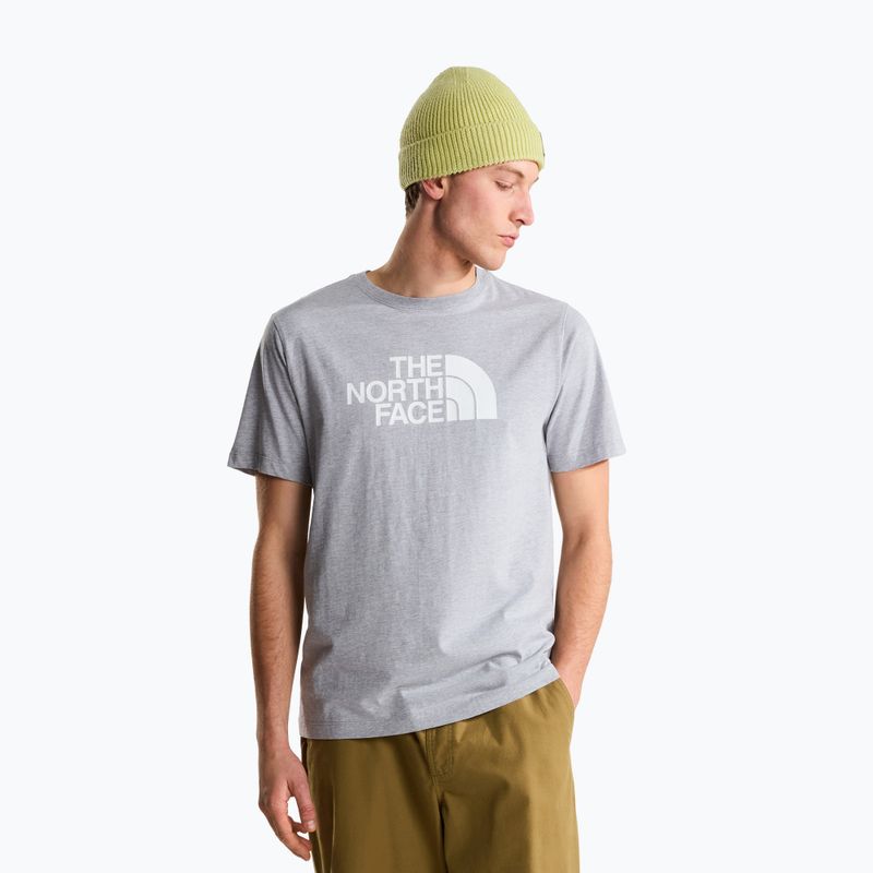 Koszulka męska The North Face Evolution Half Dome tnf pale grey heather