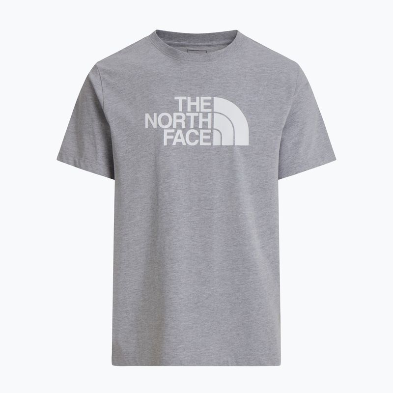 Koszulka męska The North Face Evolution Half Dome tnf pale grey heather 4