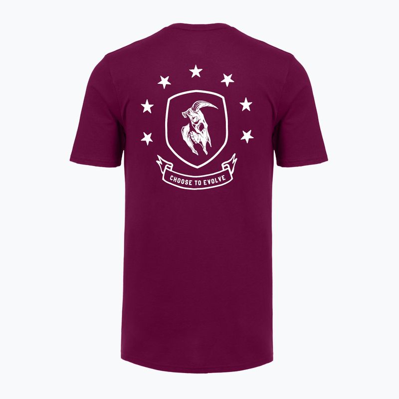 Koszulka treningowa męska Under Armour Project Rock Badge Of Honor purple 4