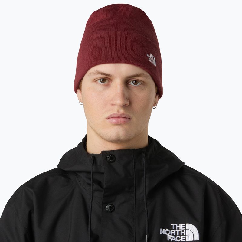 Czapka zimowa The North Face Norm Beanie sumac 3