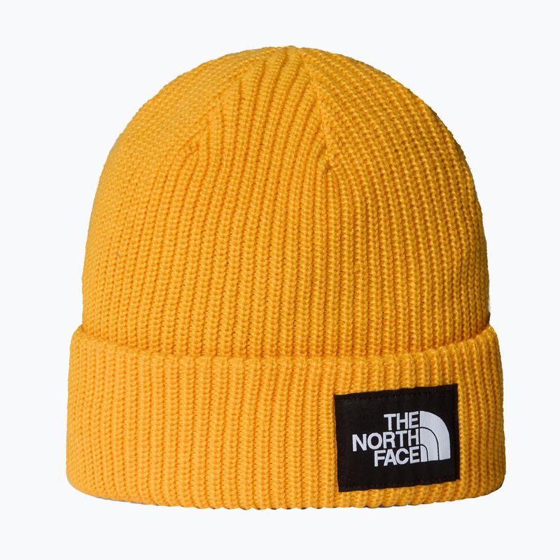Czapka zimowa The North Face Salty Lined