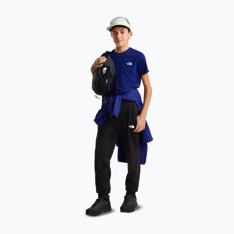 Spodnie męskie The North Face Performance Fleece Jogger tnf black 2