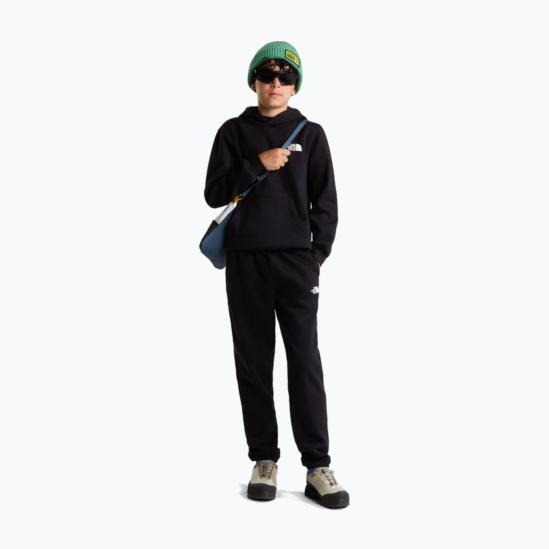 Bluza dziecięca The North Face Evolution Box NSE Pullover Hoodies tnf black 2