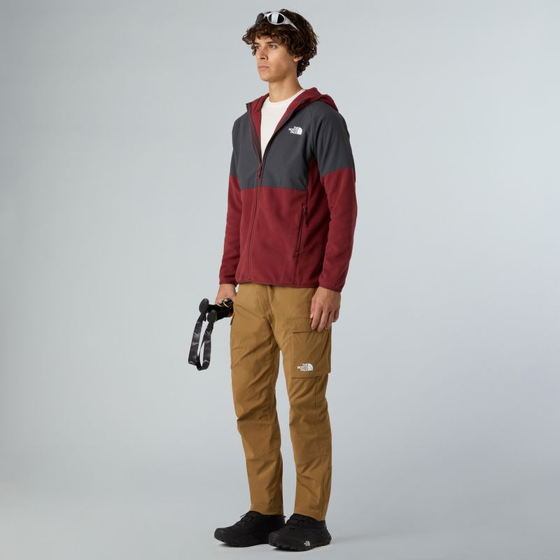 Bluza męska The North Face Glacier Heavyweight Full Zip HD sumac/asphalt grey 2