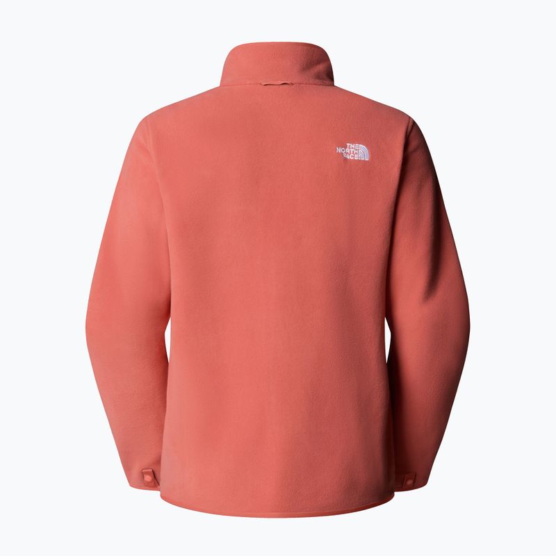 Bluza polarowa damska The North Face Glacier Fleece mars dust 6