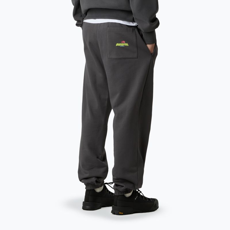 Spodnie męskie The North Face Expedition Celebration Relaxed Jogger Reg anthracite grey 3