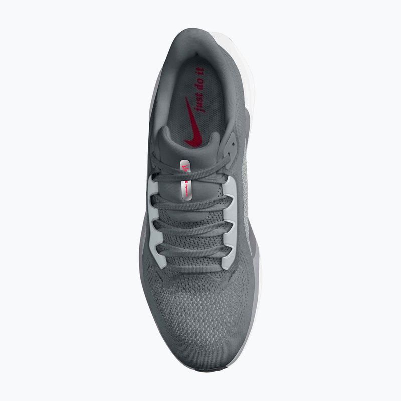 Buty do biegania męskie Nike Pegasus 41 cool grey/wolf grey/pure platinum/bright crimson 6