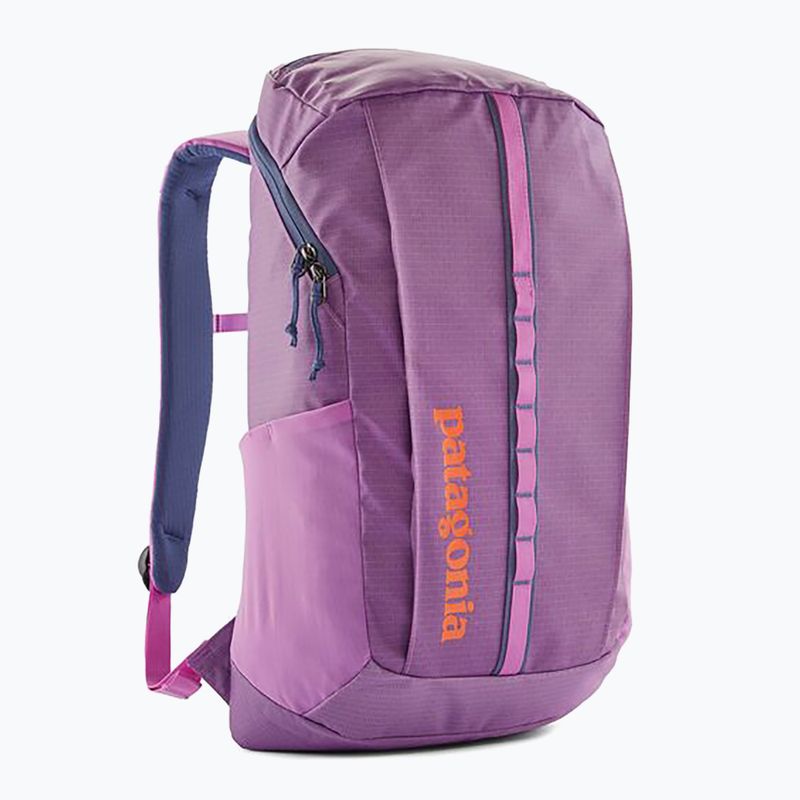 Plecak miejski Patagonia Black Hole Pack 25 l brisk purple
