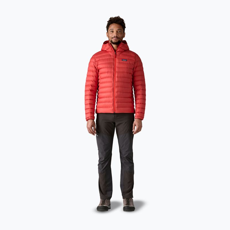 Kurtka puchowa męska Patagonia Down Sweater Hoody amanita red 2