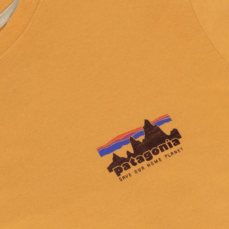 Koszulka męska Patagonia '73 Skyline T-Shirt dried mango 3