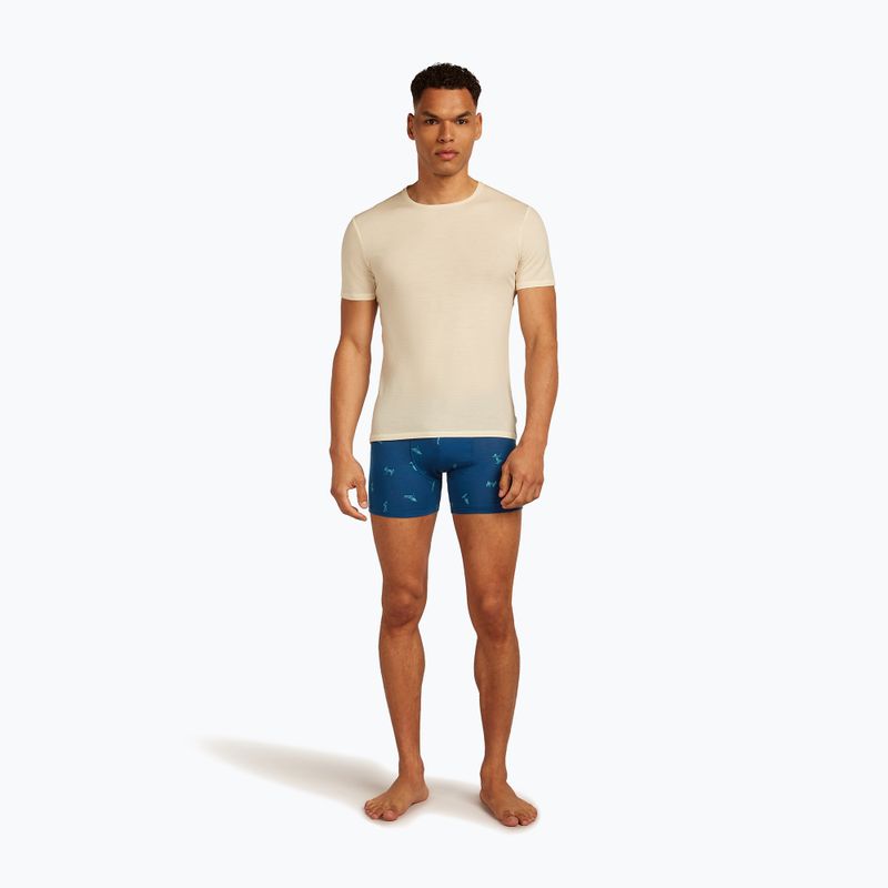 Bokserki termoaktywne męskie icebreaker Anatomica Snow Day atlantis/topaz/aop 5