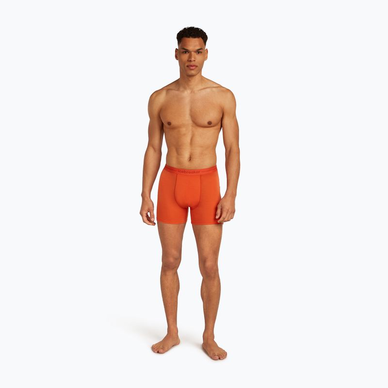Bokserki termoaktywne męskie icebreaker Anatomica fervid 3