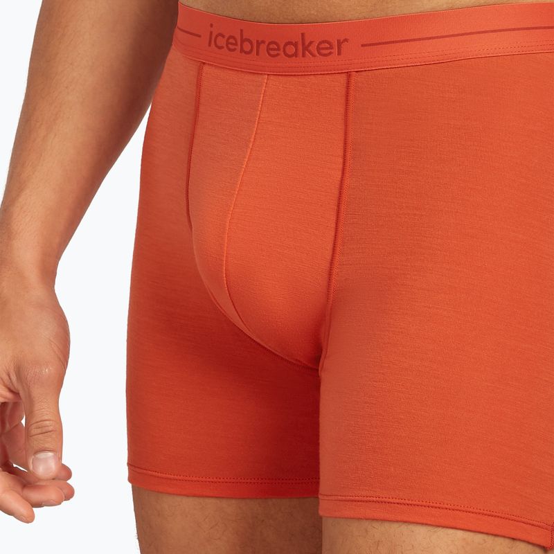 Bokserki termoaktywne męskie icebreaker Anatomica fervid 5