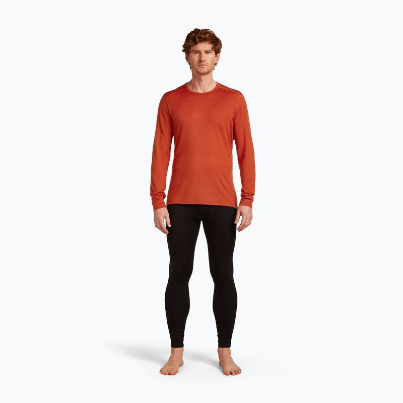 Longsleeve termoaktywny męski icebreaker 200 Oasis Crewe agate 2
