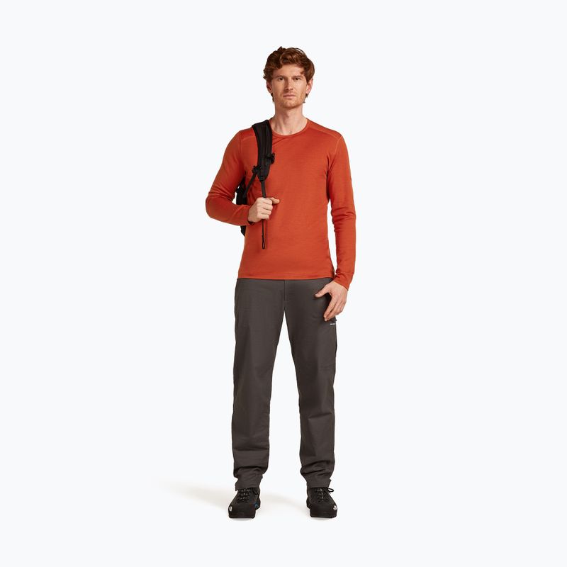 Longsleeve termoaktywny męski icebreaker 200 Oasis Crewe agate 5