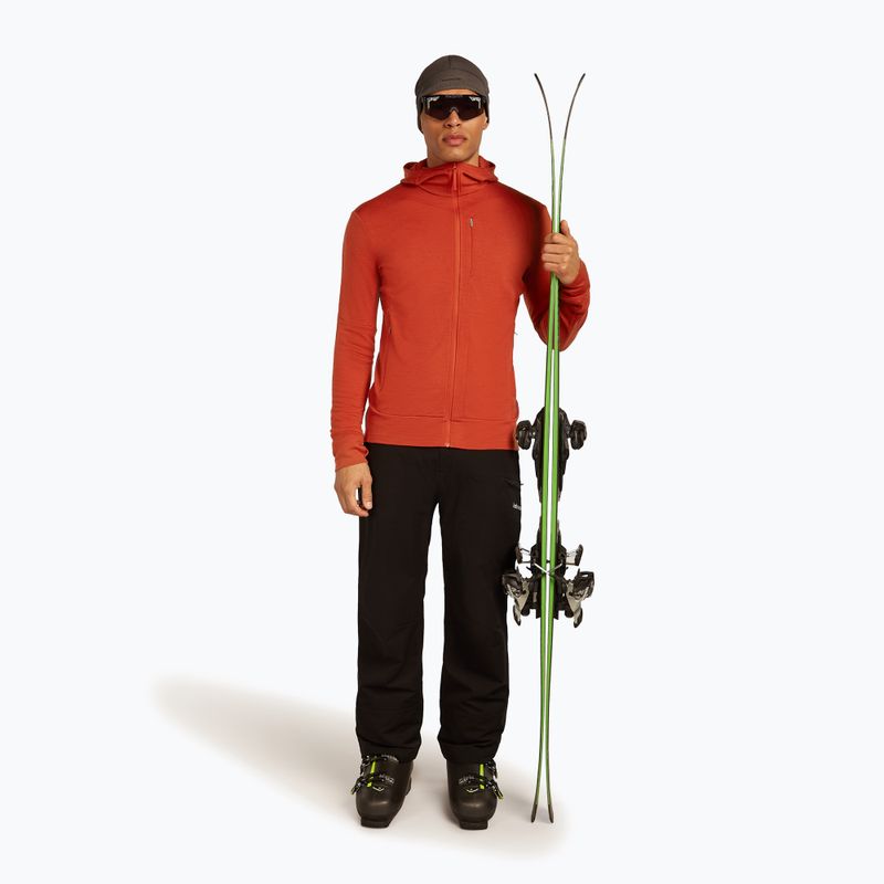 Bluza męska icebreaker Merino 260 Quantum IV Zip Hoodie agate 4