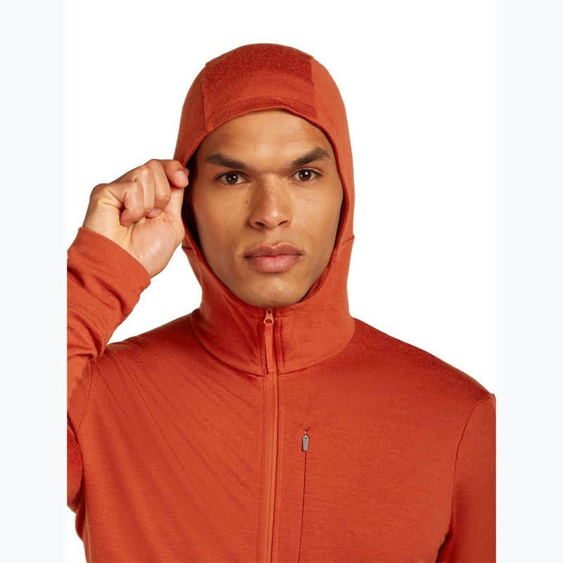 Bluza męska icebreaker Merino 260 Quantum IV Zip Hoodie agate 5