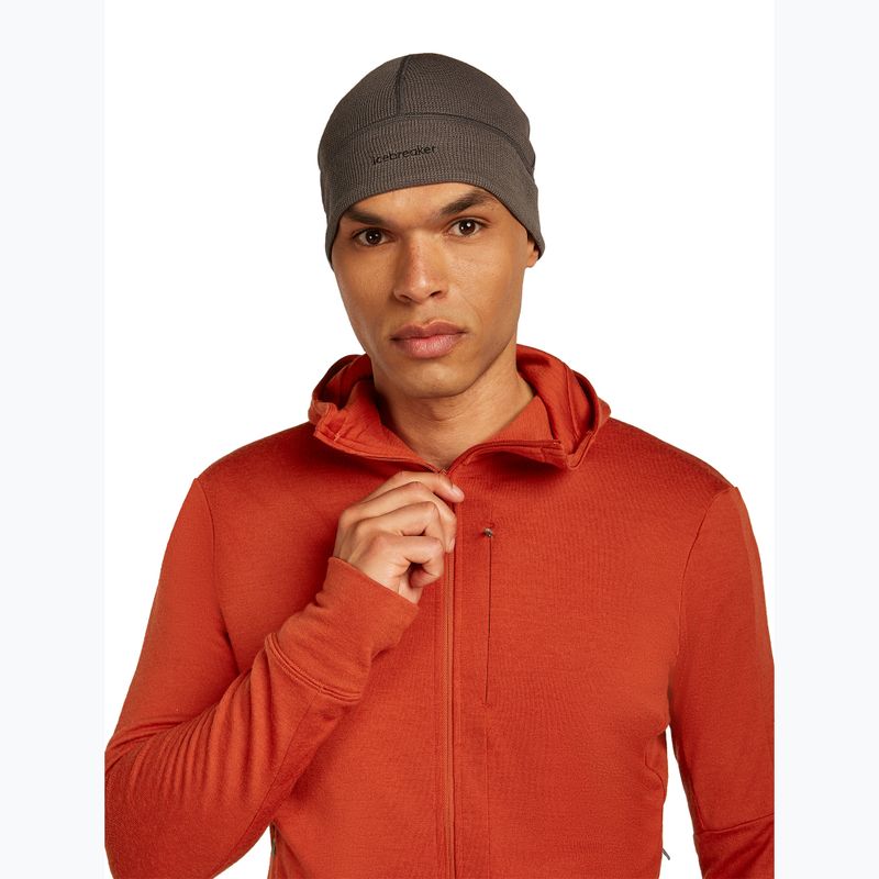 Bluza męska icebreaker Merino 260 Quantum IV Zip Hoodie agate 6