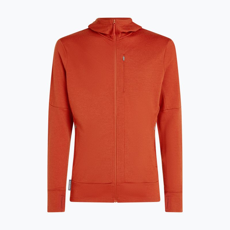 Bluza męska icebreaker Merino 260 Quantum IV Zip Hoodie agate 10