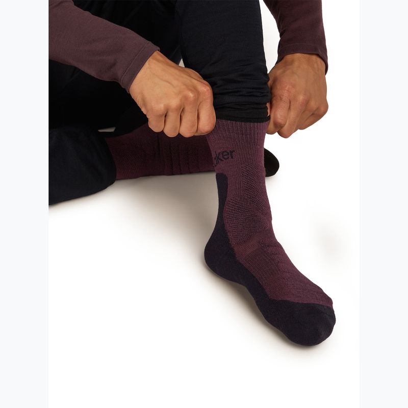 Skarpety męskie icebreaker Merino Hike+ Heavy Crew java/black 5