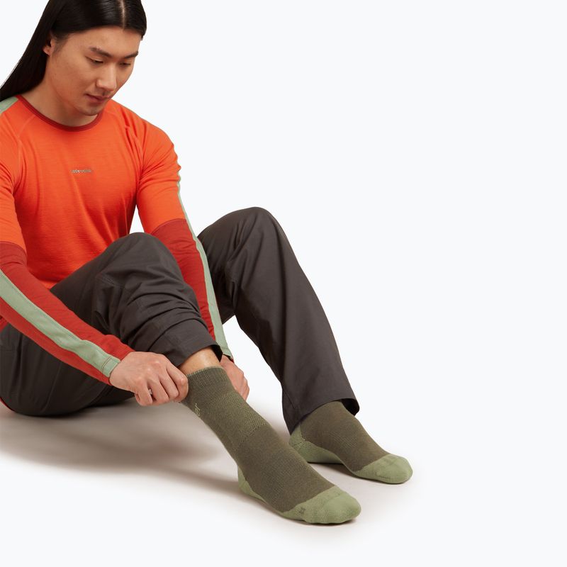 Skarpety męskie icebreaker Merino Hike+ Medium Crew loden/lichen 3