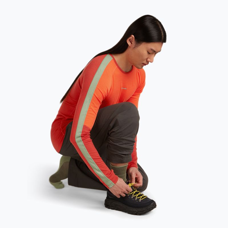 Skarpety męskie icebreaker Merino Hike+ Medium Crew loden/lichen 5