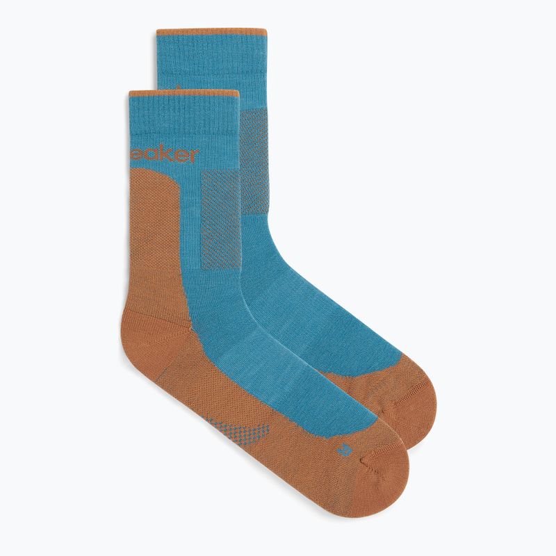Skarpety męskie icebreaker Merino Hike+ Medium Crew topaz/trail 2