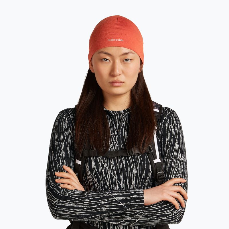 Czapka zimowa icebreaker Merino 200 Oasis Beanie agate 2