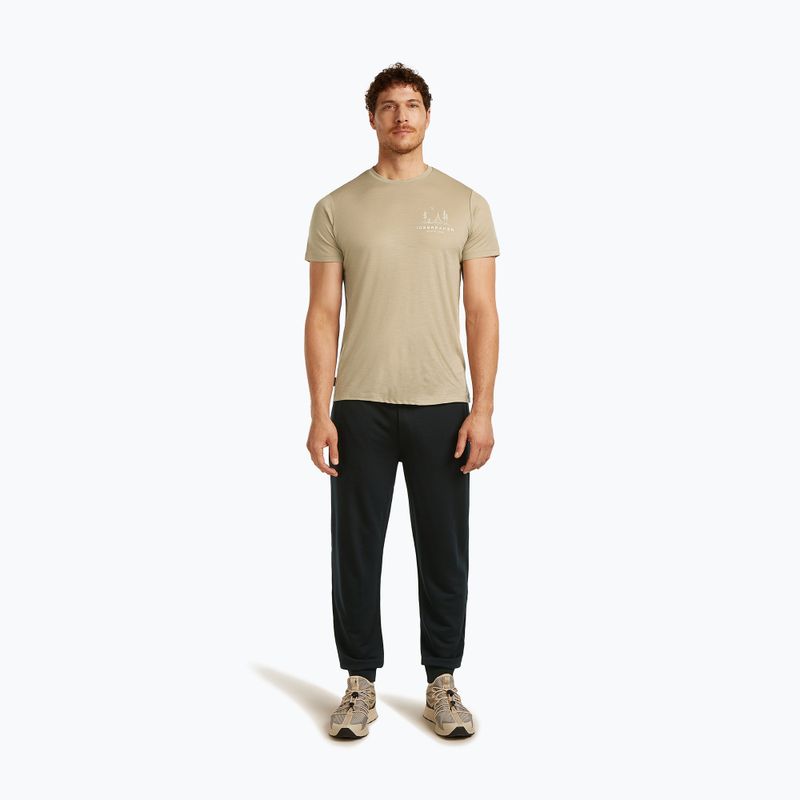 Koszulka męska icebreaker Merino 150 Tech Lite Peaceful Pass Tee flagstone 2