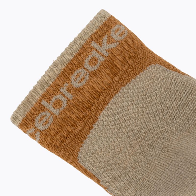 Skarpety męskie icebreaker Merino Hike+ Light Mini trail/flagstone 3