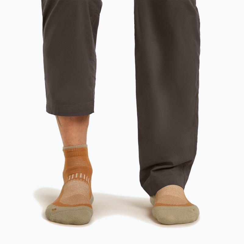 Skarpety męskie icebreaker Merino Hike+ Light Mini trail/flagstone 3