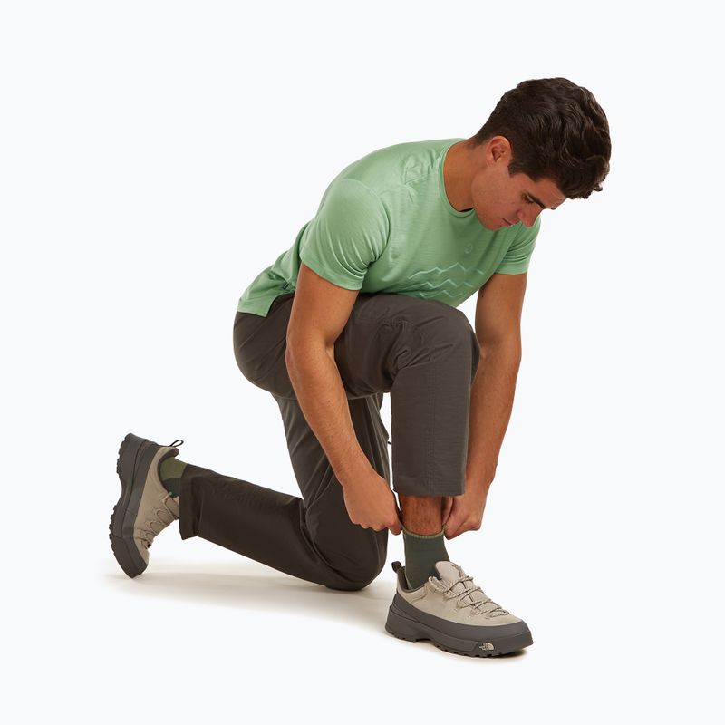 Skarpety męskie icebreaker Merino Hike+ Light Mini dark loden/lichen 5