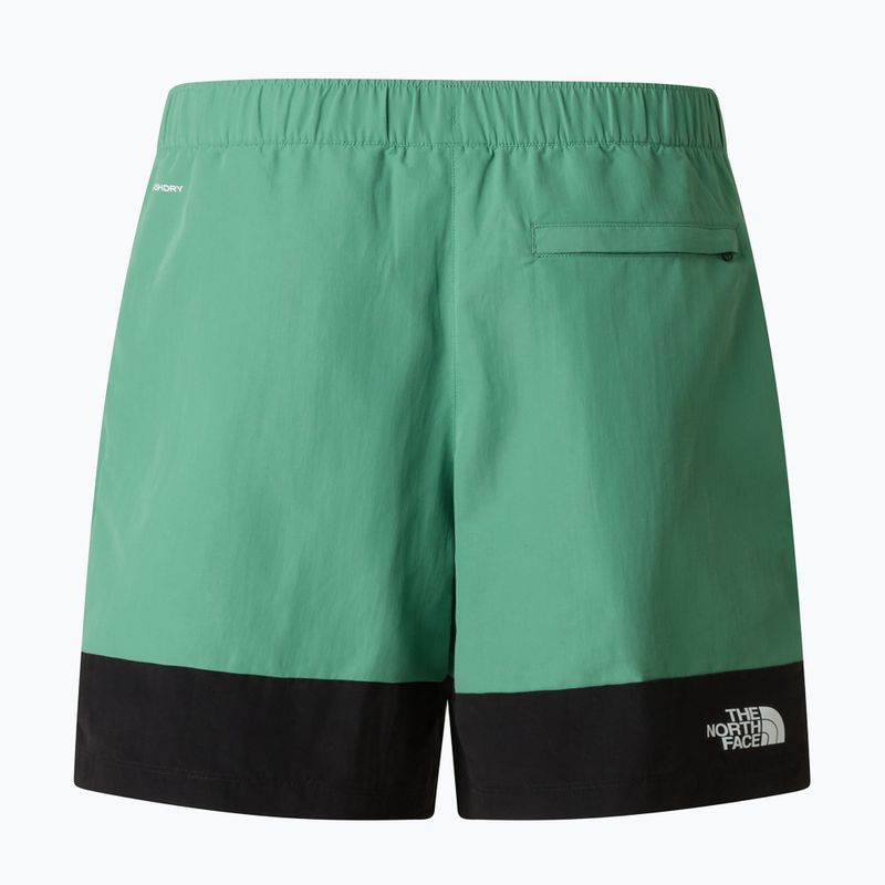 Spodenki trekkingowe męskie The North Face Leynar dimmed algae/tnf black 10