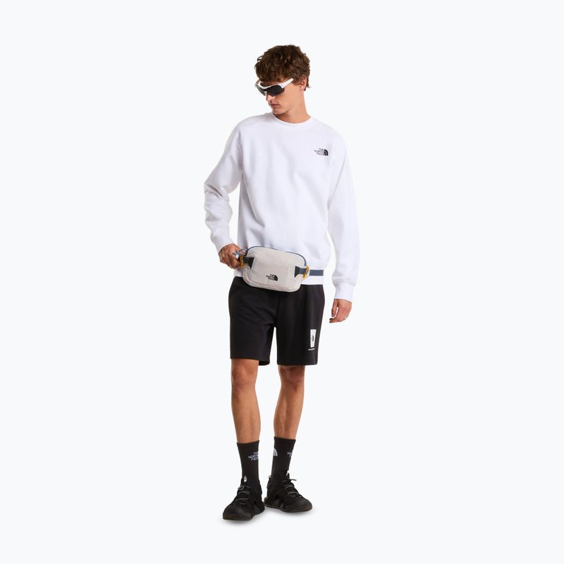 Spodenki trekkingowe męskie The North Face Box Nse Light Regular Shorts black 2