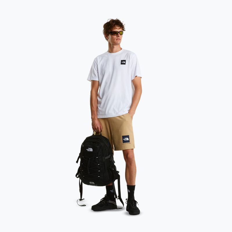 Spodenki trekkingowe męskie The North Face Box Nse Light Regular Shorts khaki stone 2