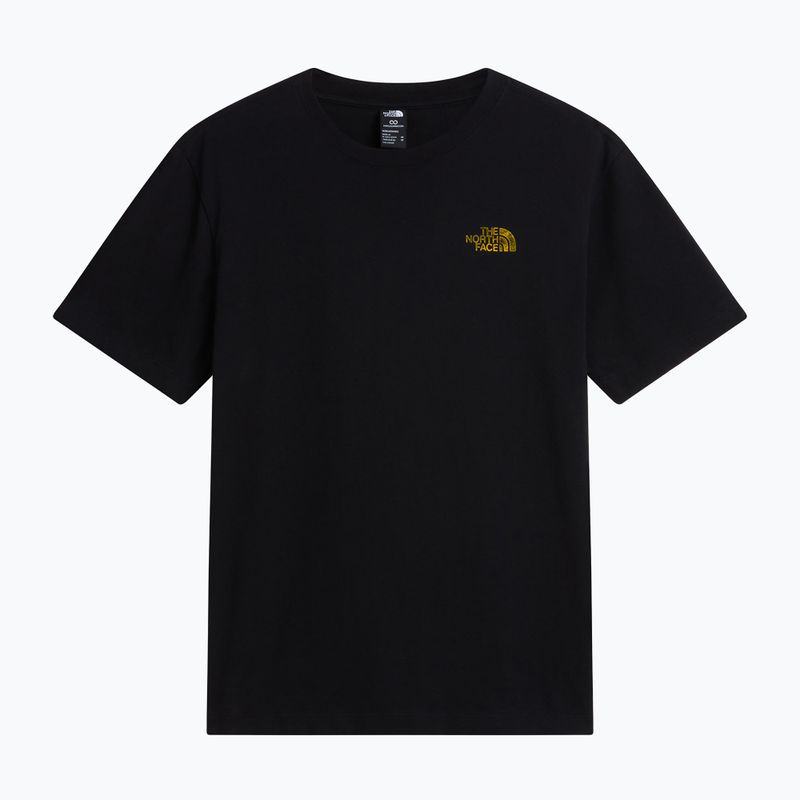 Koszulka męska The North Face Apex '75 Collage Relaxed Hoodie tnf black 4