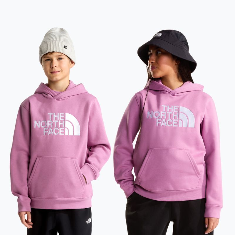Bluza dziecięca The Noryh Face Essential Drew Peak Hoodie hushed lavender 3