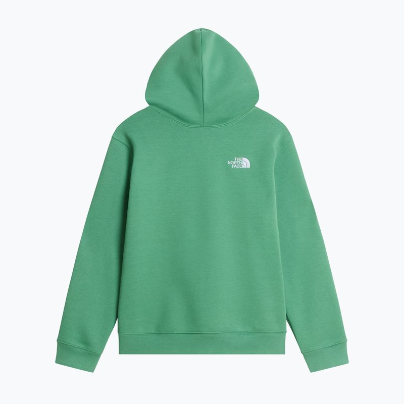 Bluza dziecięca The Noryh Face Essential Drew Peak Hoodie dimmed algae 2
