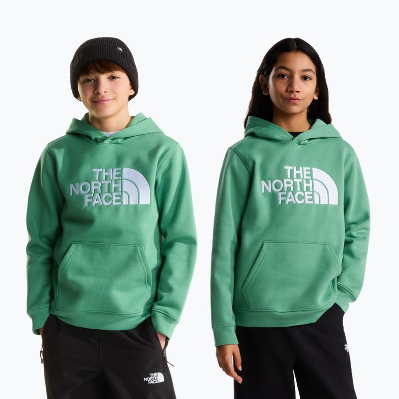 Bluza dziecięca The Noryh Face Essential Drew Peak Hoodie dimmed algae 3