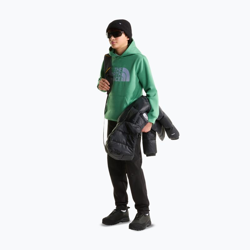 Bluza dziecięca The Noryh Face Essential Drew Peak Hoodie dimmed algae 4