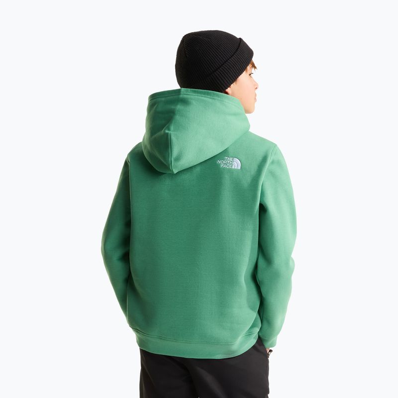 Bluza dziecięca The Noryh Face Essential Drew Peak Hoodie dimmed algae 5