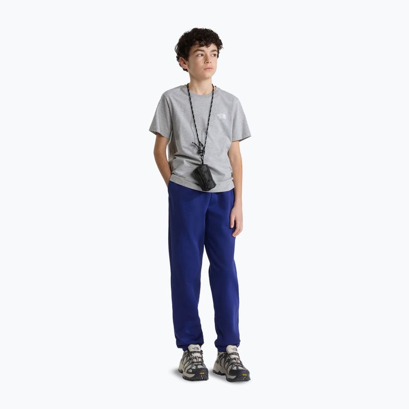 Koszulka dziecięca The North Face Evolution Simple Dome SS Tee tnf pale grey h 2
