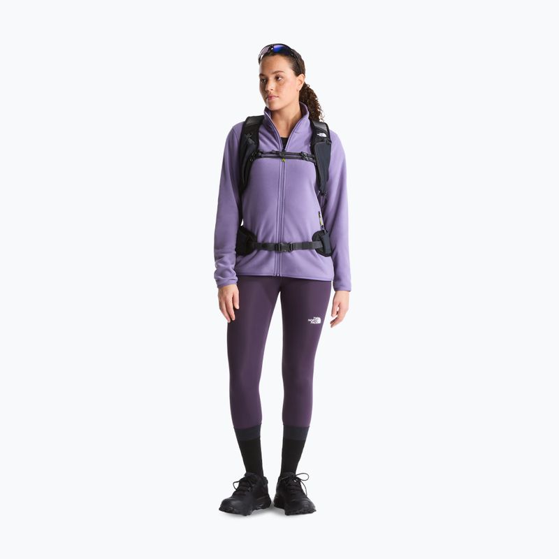 Bluza polarowa męska The North Face Glacier Fleece grounded plum 2
