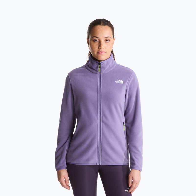Bluza polarowa męska The North Face Glacier Fleece grounded plum