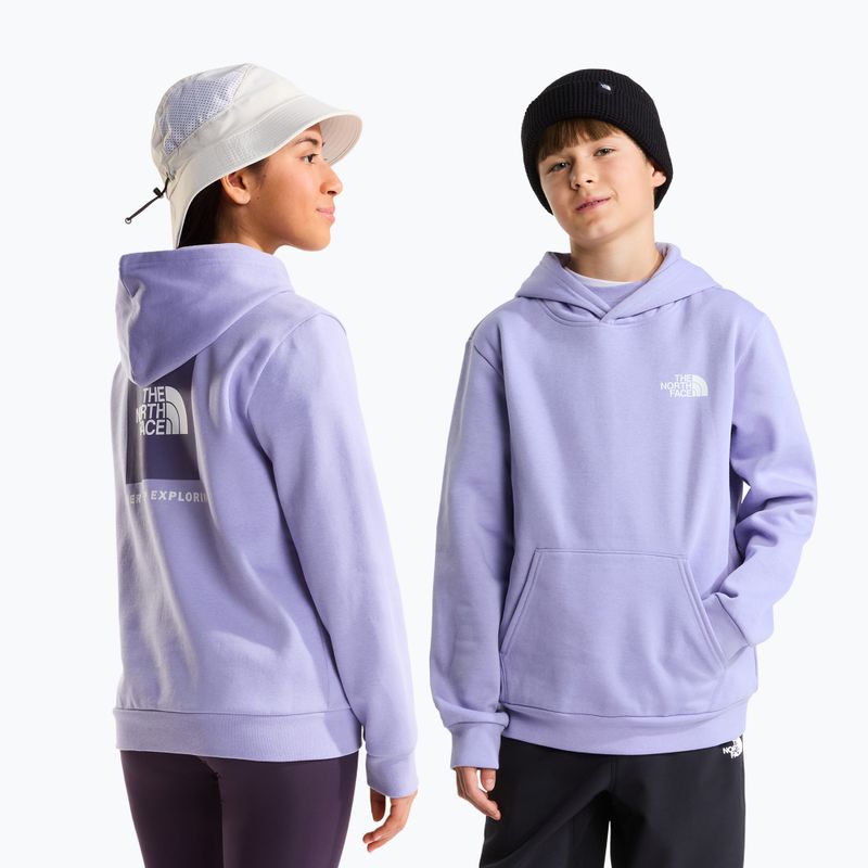 Bluza dziecięca The North Face Evolution Box NSE Pullover Hoodies pale plum