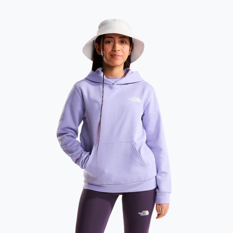 Bluza dziecięca The North Face Evolution Box NSE Pullover Hoodies pale plum 2
