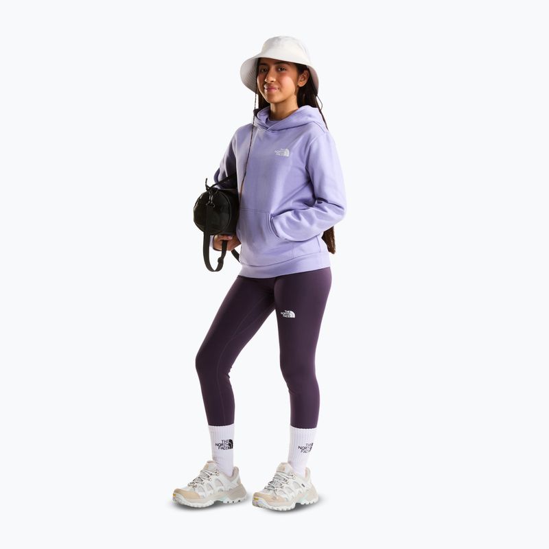 Bluza dziecięca The North Face Evolution Box NSE Pullover Hoodies pale plum 3