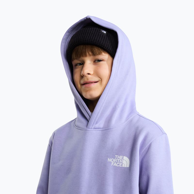 Bluza dziecięca The North Face Evolution Box NSE Pullover Hoodies pale plum 6